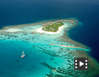 portfolio image template