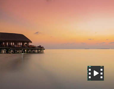 portfolio image template