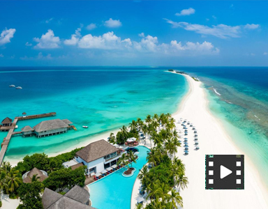 portfolio image template