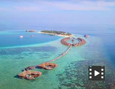 portfolio image template